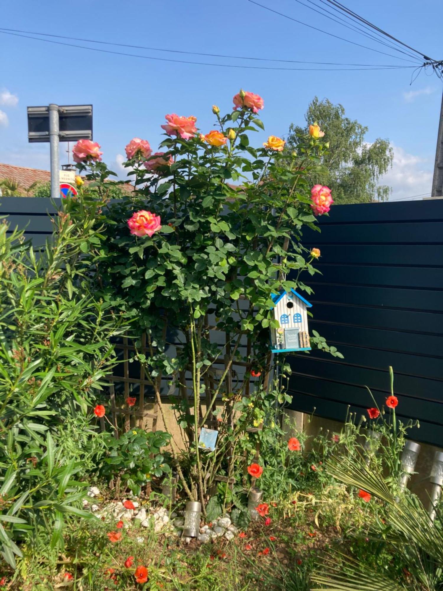 Au Calme Dans Maison En Rez De Jardin A 2,2 Kms Du Groupama Stadium Et Salle Ldlc Arena Meyzieu Bagian luar foto