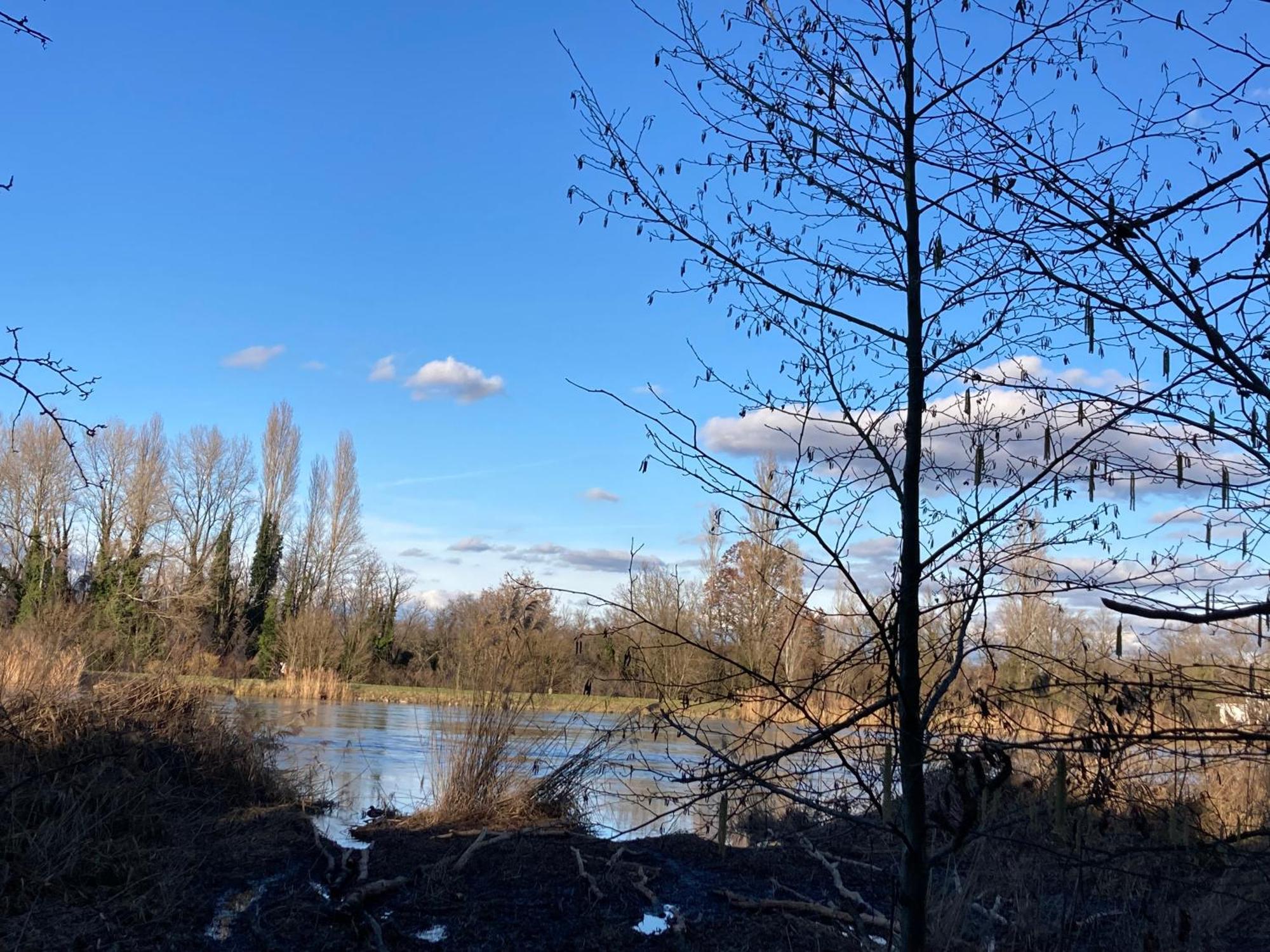 Au Calme Dans Maison En Rez De Jardin A 2,2 Kms Du Groupama Stadium Et Salle Ldlc Arena Meyzieu Bagian luar foto